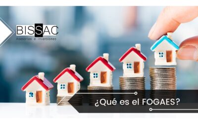FOGAES ¿ Qué es ?